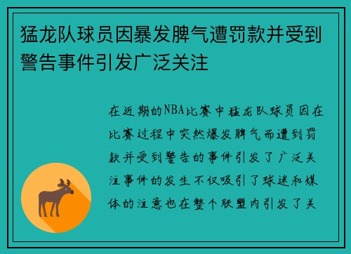 猛龙队球员因暴发脾气遭罚款并受到警告事件引发广泛关注